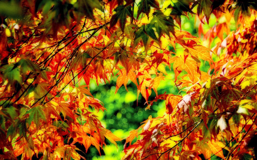 472381 (a): :1920x1200